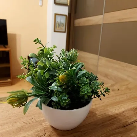 Little&sweet Apartment